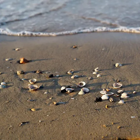 Seaview Flat Next To - Beahost 아파트 *