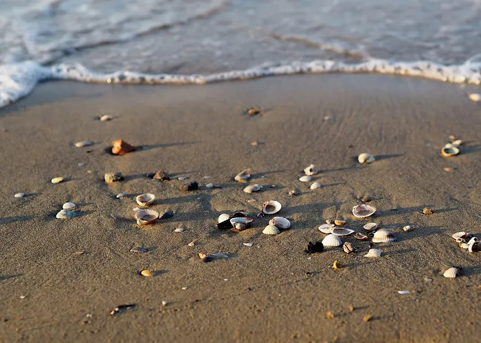 아파트 Seaview Flat Next To - Beahost *